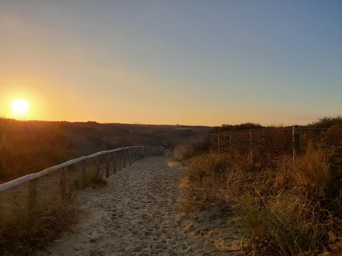 Little Lodge Noordwijk Aan Zee Kültér fotó